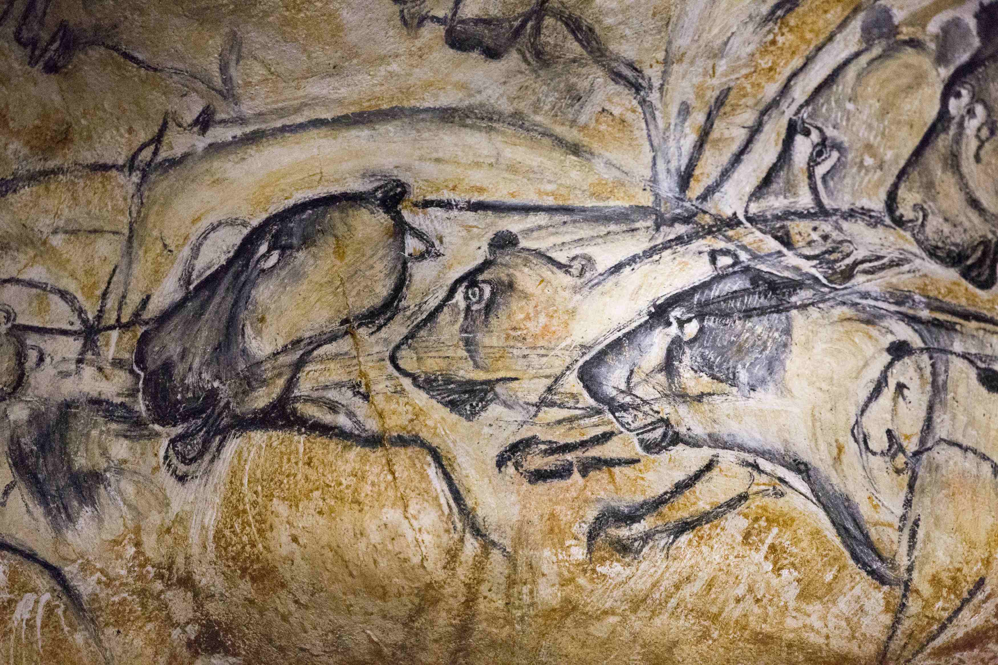 prehistoric cave lion
