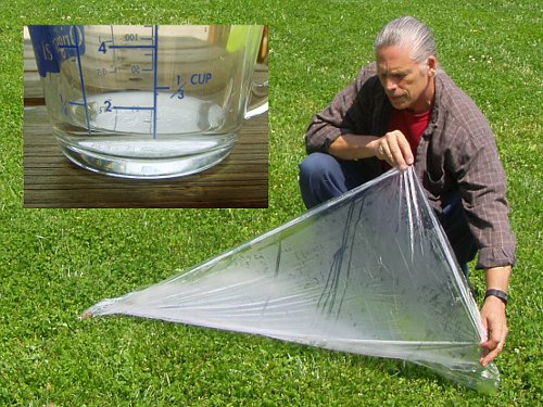 Catch water with a plastic sheet.