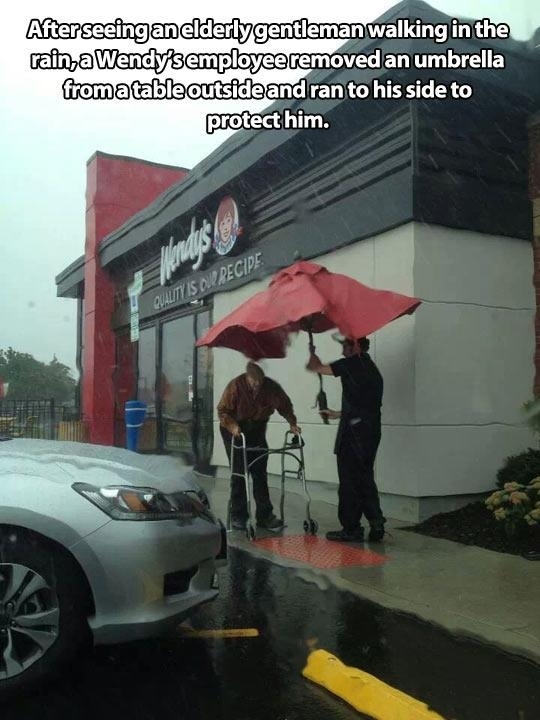 restore faith in humanity - After seeing an elderly gentleman walking in the raina Wendy's employee removed an umbrella fromatable outside and ran to his side to protect him. Quality Is Ou Pecipe