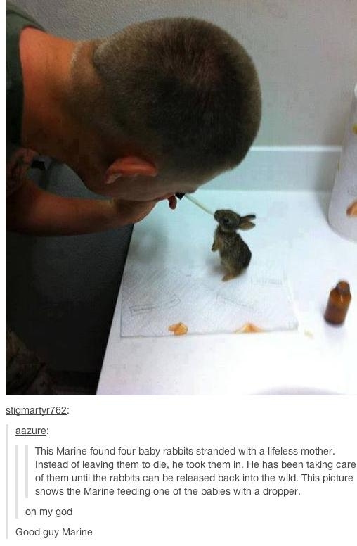 saving baby bunnies - stigmartyr762 aazure This Marine found four baby rabbits stranded with a lifeless mother. Instead of leaving them to die, he took them in. He has been taking care of them until the rabbits can be released back into the wild. This pic