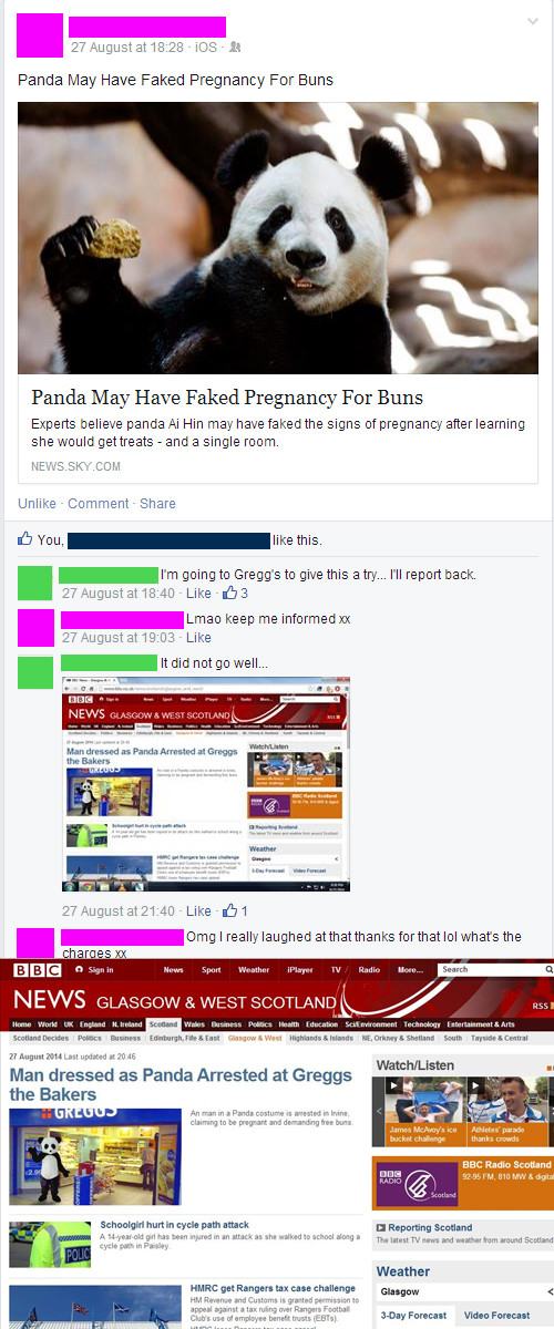 owned facebook funny - 27 August at iOS A Panda May Have Faked Pregnancy For Buns Panda May Have Faked Pregnancy For Buns Experts believe panda Al Hin may have faked the signs of pregnancy after learning she would get treats and a single room. News.Sky.Co