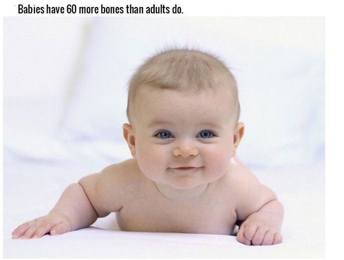 22 Mind Blowing Facts About Your Body