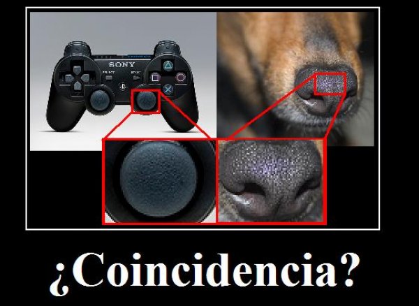 dog nose playstation controller
