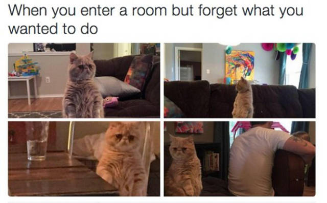 you enter a room but forget - When you enter a room but forget what you wanted to do