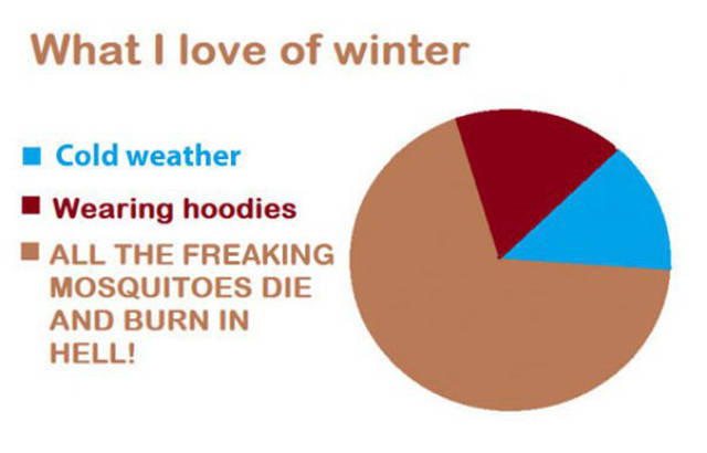 love of winter - What I love of winter Cold weather I Wearing hoodies All The Freaking Mosquitoes Die And Burn In Hell!