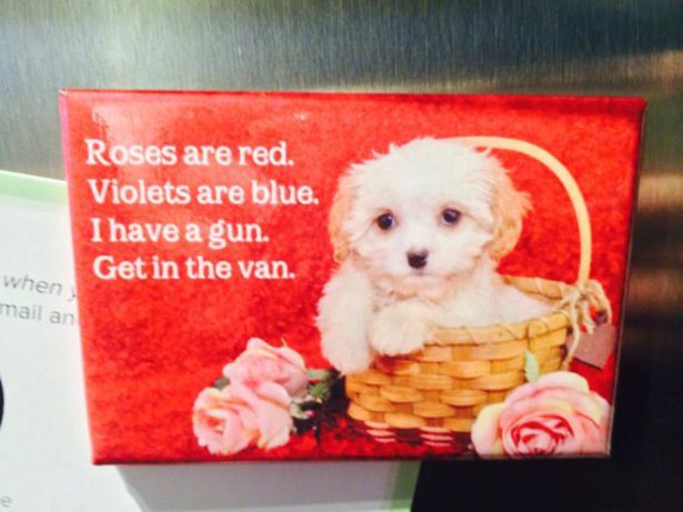 meme puppy - Roses are red. Violets are blue. I have a gun. Get in the van. when mail an