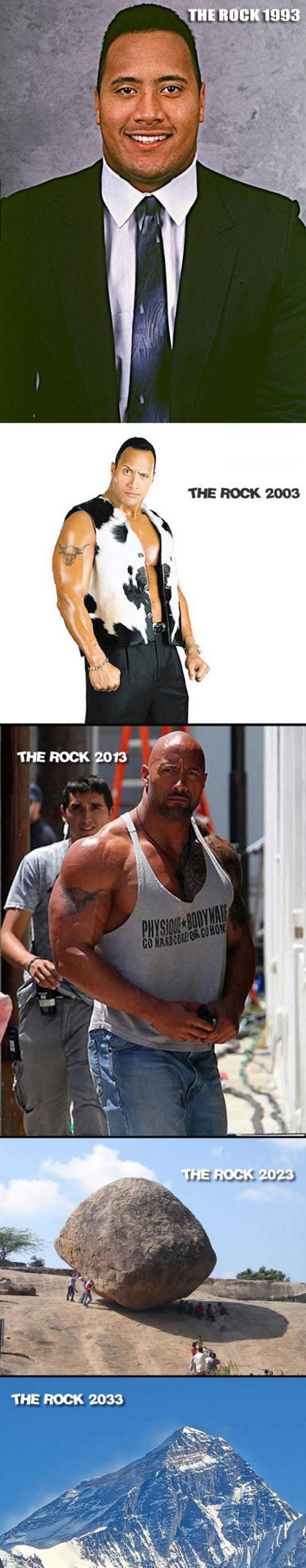 meme between the rock and a hard place dwayne johnson - The Rock 1993 The Rock 2003 The Rock 2013 PhysiqueBo Go Harpere Or Cohon The Rock 2023 The Rock 2033