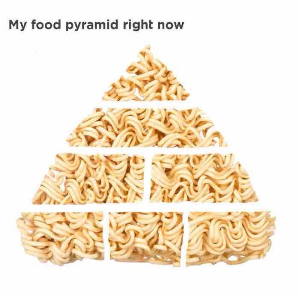 sad life facts - My food pyramid right now