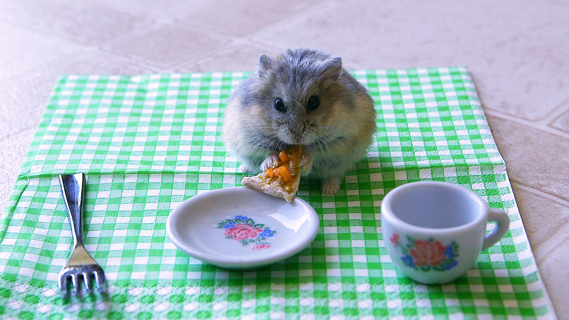 Tiny hamster eats tiny pizza - Picture | eBaum's World