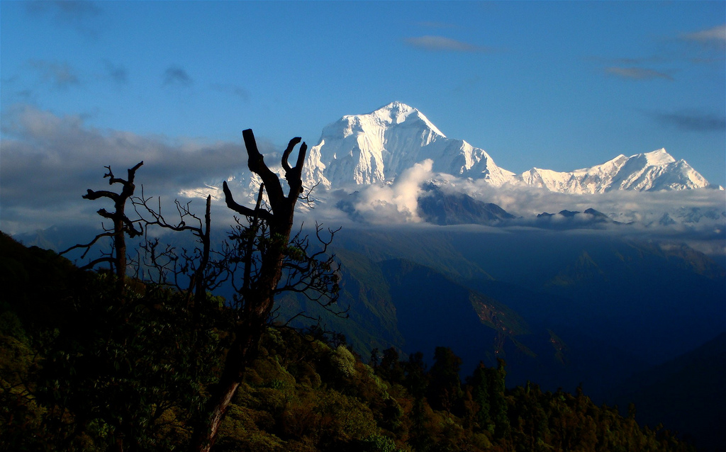 Dhaulagiri 1, the seventh highest peak on Earth at 26,795 ft.