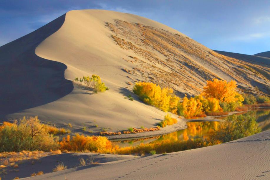 Bruneau Dunes State Park, Idaho - Tallest single structure dune in North America