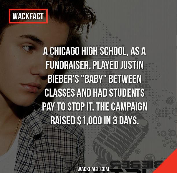 wacky facts - Wackfact A Chicago High School, As A Fundraiser, Played Justin Bieber'S "Baby" Between Classes And Had Students Pay To Stop It. The Campaign Raised $1,000 In 3 Days. Wackfact.Com Wackfact.Com &ae