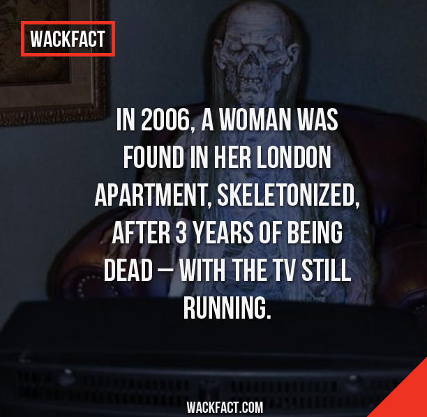 photo caption - Wackfact In 2006, A Woman Was Found In Her London Apartment, Skeletonized, After 3 Years Of Being Dead With The Tv Still Running Wave Wackfact.Com
