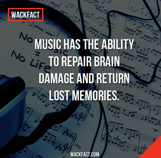 manoa falls - Wackfact No Music Has The Ability No Lie To Repair Brain Damage And Return Lost Memories. 1972 es Wackfact.Com