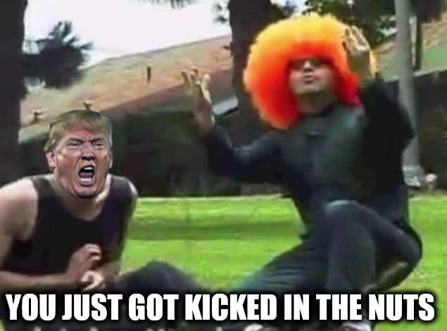 Trump is on the famous show KICKED IN THE NUTS!