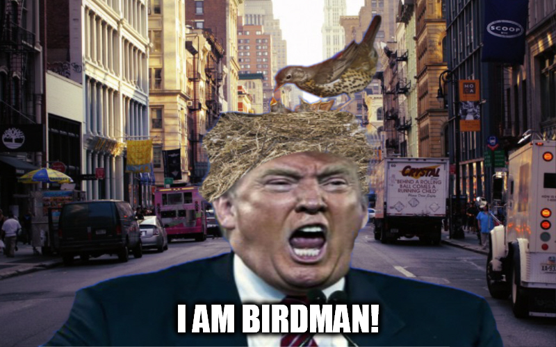 Just because you are cheap does not make you BIRDMAN!