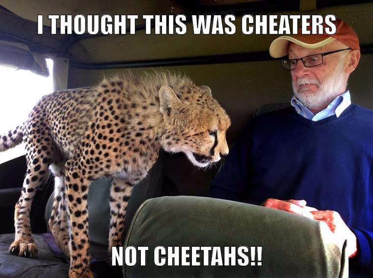 Woman finds her husband with a cheetah...