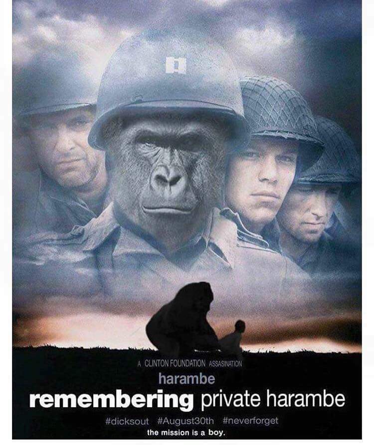 Harambe's time is near!