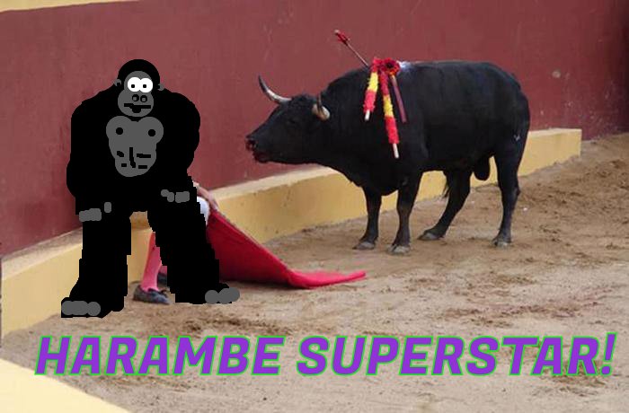 Harambe is a got damn SUPERSTAR!