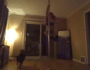 Pole Dancer Fails GIFS