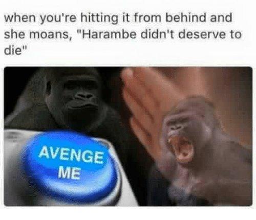 avenge harambe - when you're hitting it from behind and she moans, "Harambe didn't deserve to die" Avenge Me
