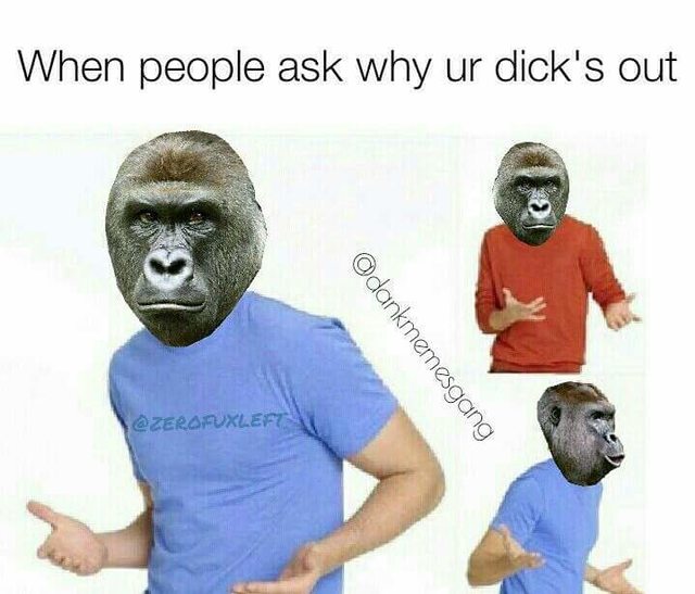 harambe memes - When people ask why ur dick's out Odankmemesgang