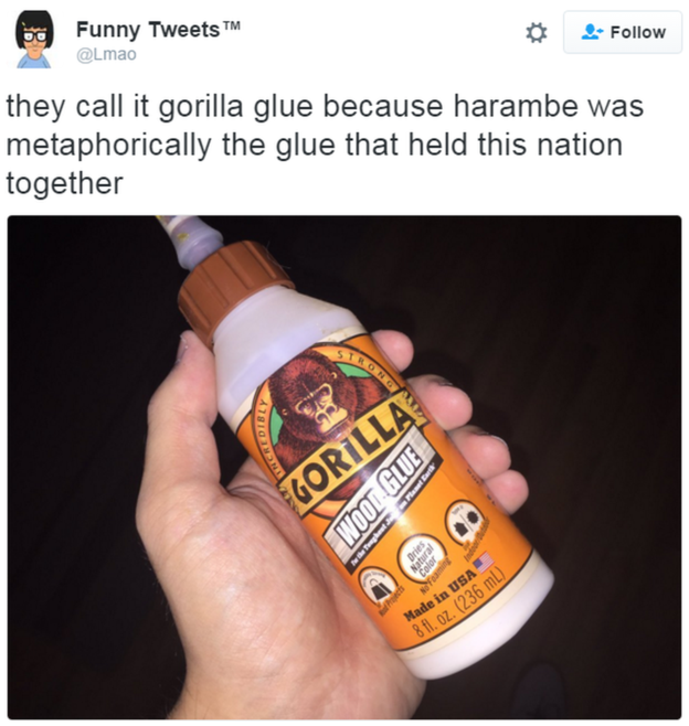 harambe meme 2017 - Funny Tweets lmao they call it gorilla glue because harambe was metaphorically the glue that held this nation together Gorilla Woor Glue