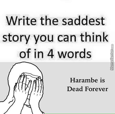 best harambe memes - Write the saddest story you can think of in 4 words MemeCenter.com Harambe is Dead Forever Pildi