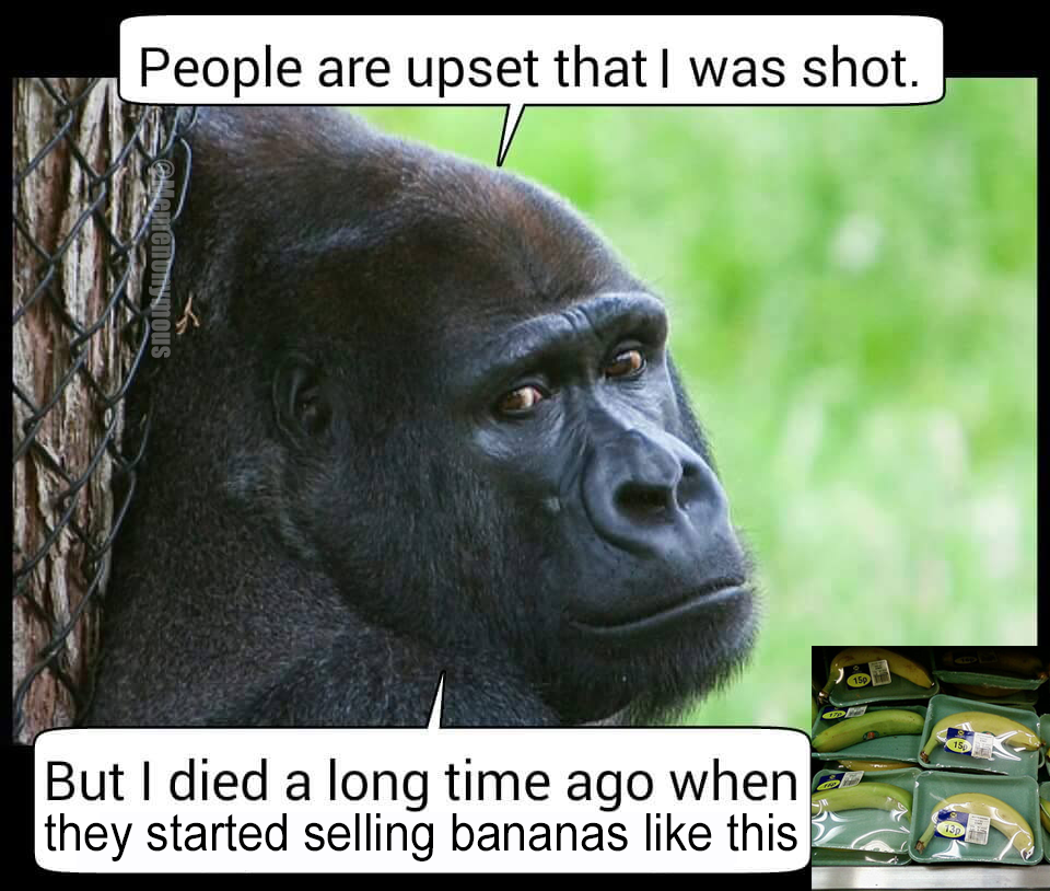 harambe memes 2018 - People are upset that I was shot. ensious But I died a long time ago when they started selling bananas this