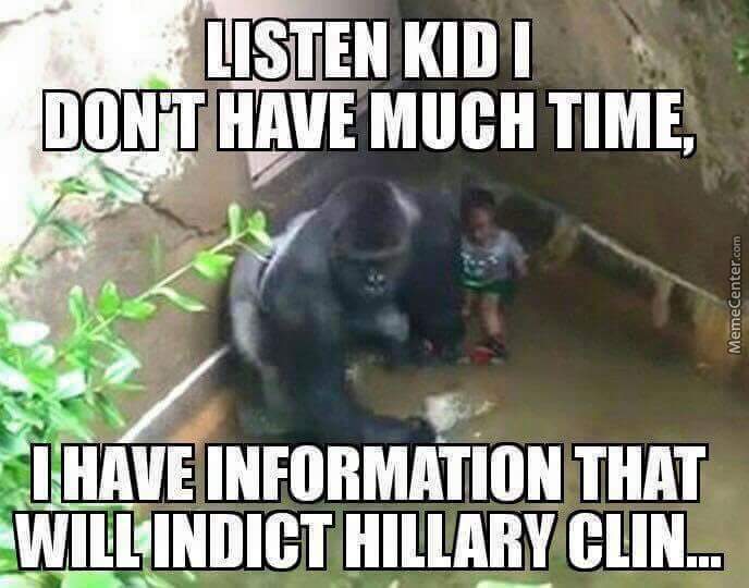 harambe meme - Listen Kidi Dont Have Much Time, MemeCenter.com 2 I Have Information That Will Indict Hillary Clin...
