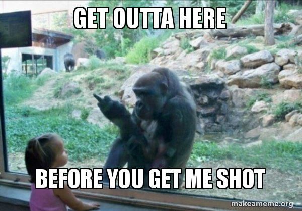 best harambe memes - Get Outta Here Before You Get Me Shot makeameme.org