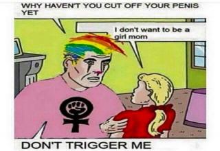 savage meme of cringe tumblr comic - Why Havent You Cut Off Your Penis Vet I don't want to be a girl mom Don'T Trigger Me