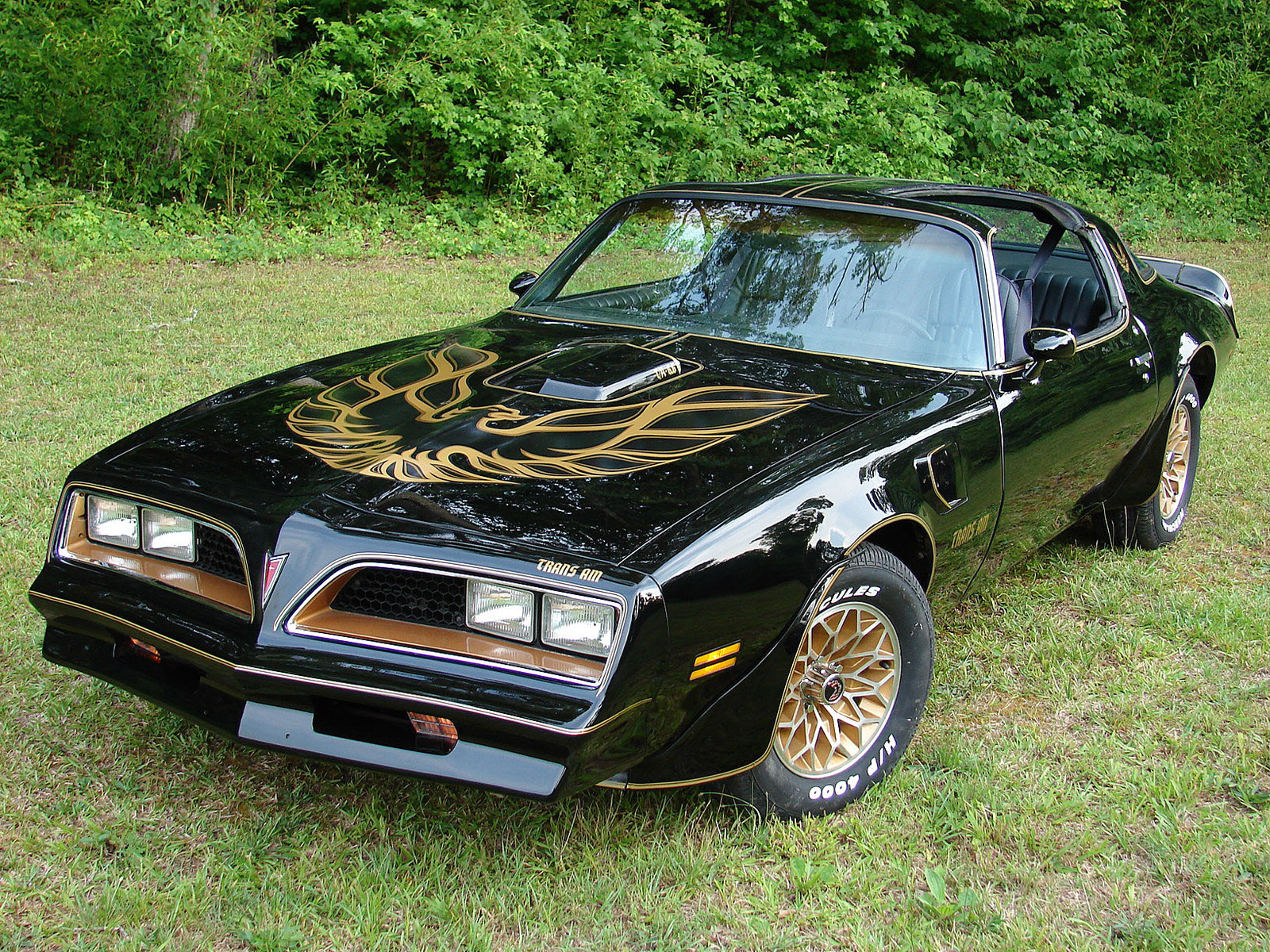 TransAm: It is a car. It does not pretend to be anything else. God Bless you Trans Am!