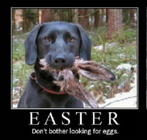 Bad Easter Memes