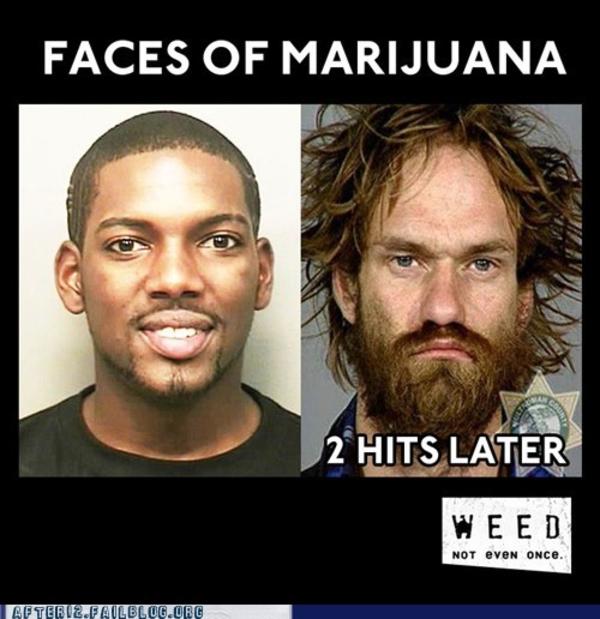 The Effects of the Marijuanas