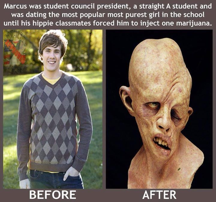 The Effects of the Marijuanas