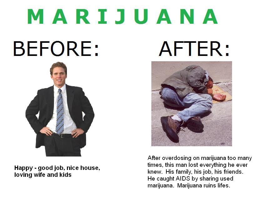 The Effects of the Marijuanas