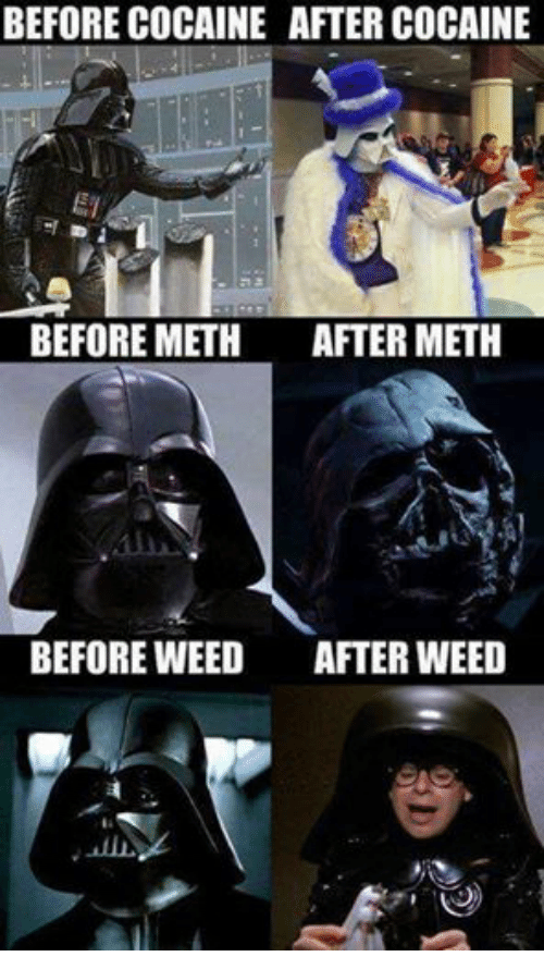 The Effects of the Marijuanas