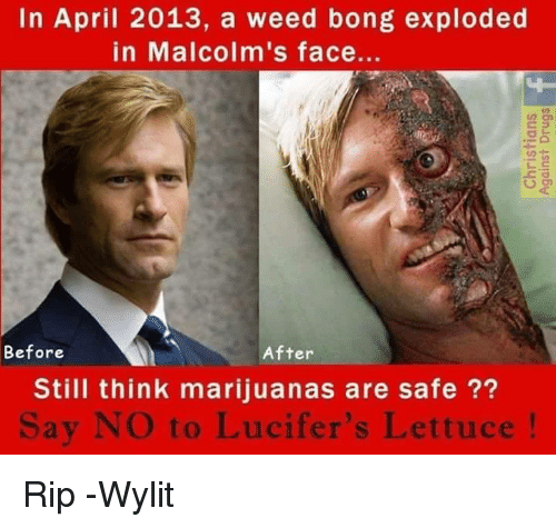 The Effects of the Marijuanas