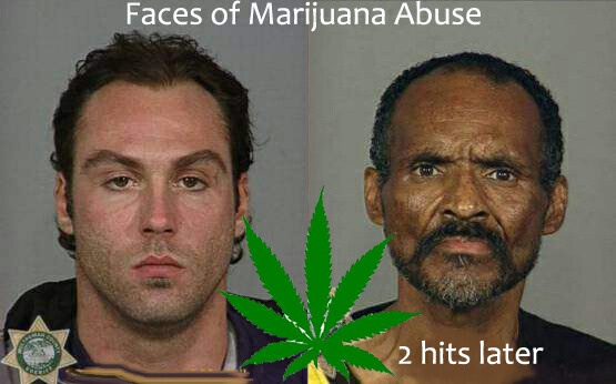 The Effects of the Marijuanas