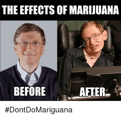 The Effects of the Marijuanas