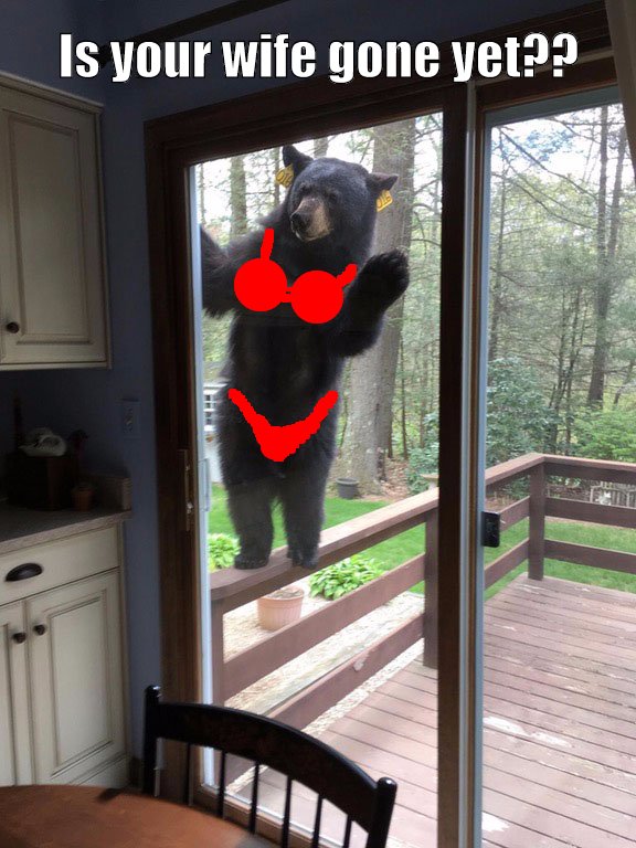 Close call for the slutty bear when the guy's wife came home early....