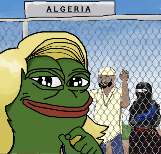 Cool Pepe Memes!