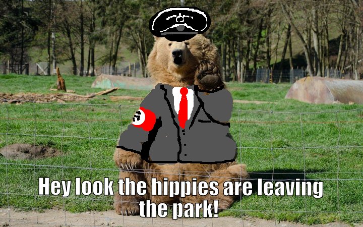 Finally the bears find a way to get the stinky hippies out of their park..
