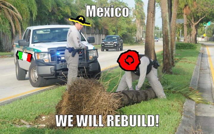 MEXICO WILL REBUILD