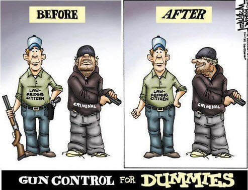 Gun Control Memes Facepalm Gallery EBaum S World