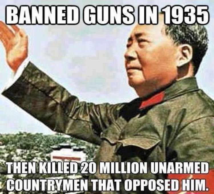 Gun Control Memes