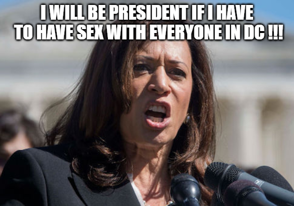 Kamala Harris used an affair that she had with a married man Willie Brown to launch her political career.