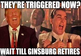 trump ginsburg meme - They'Re Triggered Now? Wait Till Ginsburg Retires