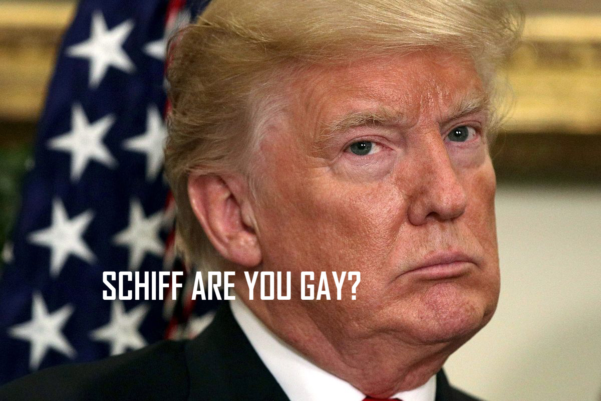 Trump Breaks Schiff Down in Court Hearing!